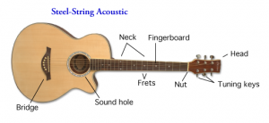 Steel-String Acoustic Guitar